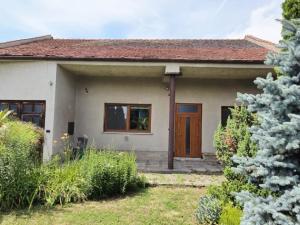 Pronájem rodinného domu, Veselí nad Moravou - Zarazice, Za Humny, 53 m2