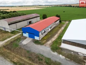 Pronájem skladu, Olšany u Prostějova, 1100 m2