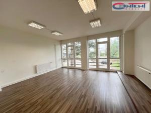 Pronájem obchodního prostoru, Praha - Malešice, Tiskařská, 697 m2