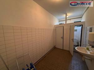 Pronájem skladu, Praha - Březiněves, Vzdálená, 785 m2