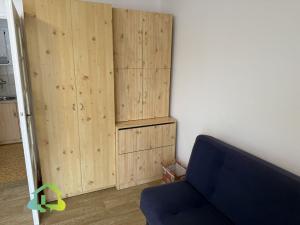 Pronájem bytu 1+kk, Praha - Nusle, Na Jezerce, 36 m2