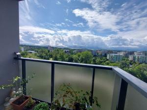 Pronájem bytu 3+kk, Praha - Hloubětín, Waltariho, 75 m2
