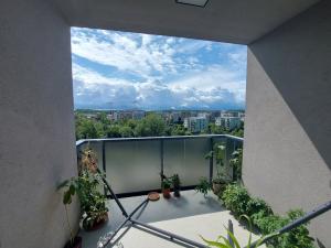 Pronájem bytu 3+kk, Praha - Hloubětín, Waltariho, 75 m2