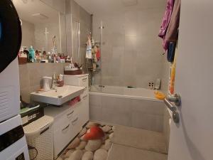 Pronájem bytu 3+kk, Praha - Hloubětín, Waltariho, 75 m2
