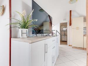 Pronájem bytu 1+kk, Praha - Bubeneč, U akademie, 39 m2