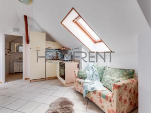 Pronájem bytu 1+kk, Praha - Bubeneč, U akademie, 39 m2