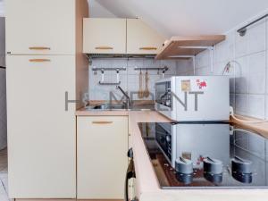 Pronájem bytu 1+kk, Praha - Bubeneč, U akademie, 39 m2