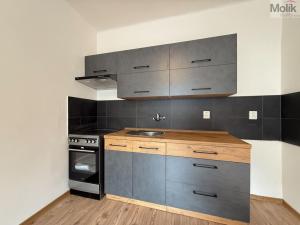 Pronájem bytu 2+kk, Teplice - Řetenice, Smetanova, 55 m2