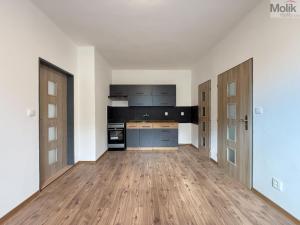 Pronájem bytu 2+kk, Teplice - Řetenice, Smetanova, 55 m2