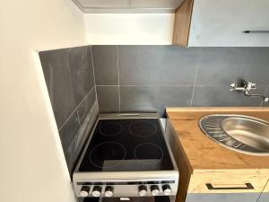 Pronájem bytu 2+kk, Teplice - Řetenice, Smetanova, 55 m2