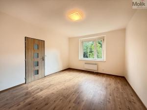 Pronájem bytu 2+kk, Teplice - Řetenice, Smetanova, 55 m2