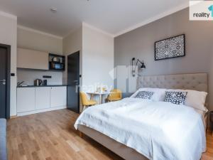Pronájem bytu 1+kk, Praha - Žižkov, Ondříčkova, 25 m2