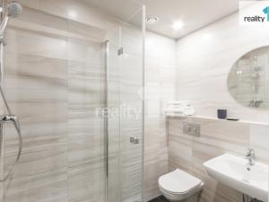 Pronájem bytu 1+kk, Praha - Žižkov, Ondříčkova, 25 m2