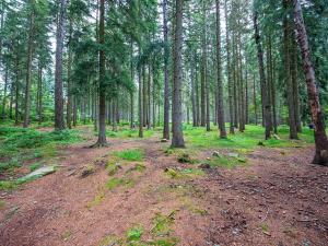 Prodej bytu 1+1, Harrachov, 34 m2