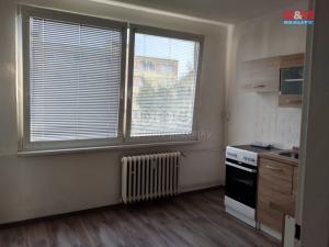 Pronájem bytu 1+1, Děčín - Děčín I-Děčín, Plavební, 36 m2