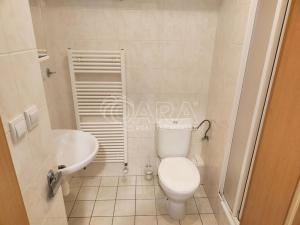 Pronájem bytu 1+kk, Praha - Horní Měcholupy, Padovská, 27 m2