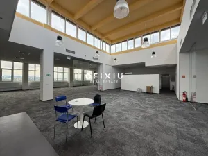 Pronájem kanceláře, Brno, Purkyňova, 850 m2