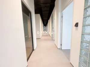 Pronájem kanceláře, Brno, Purkyňova, 100 m2