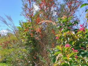 Prodej rodinného domu, Samšina - Drštěkryje, 121 m2