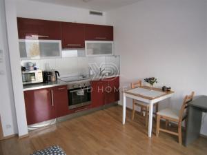 Pronájem bytu 1+kk, Praha, Nepomuckých, 30 m2