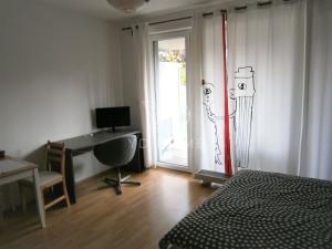 Pronájem bytu 1+kk, Praha, Nepomuckých, 30 m2