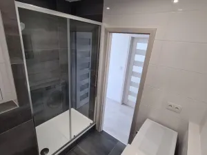 Pronájem bytu 1+1, Ostrava - Moravská Ostrava, Gen. Píky, 45 m2