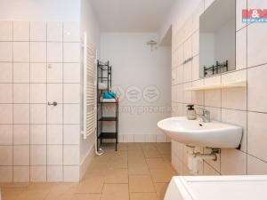 Prodej chalupy, Loučná nad Desnou - Rejhotice, 160 m2