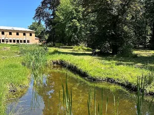 Prodej bytu 2+kk, Býchory, 62 m2