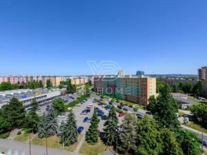 Prodej bytu 3+1, Plzeň, U Borského parku, 66 m2