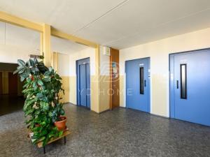 Prodej bytu 3+1, Plzeň, U Borského parku, 66 m2