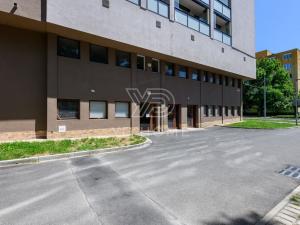 Prodej bytu 3+1, Plzeň, U Borského parku, 66 m2