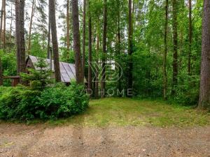 Prodej chaty, Tachov - Oldřichov, 32 m2