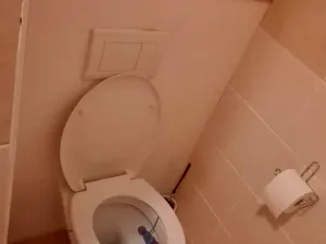 Prodej podílu bytu 2+1, Břeclav, Na Valtické, 43 m2