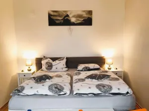 Pronájem bytu 2+1, Karlovy Vary, náměstí Dr. M. Horákové, 59 m2