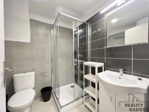 Pronájem bytu 2+1, Brno, Mendlovo náměstí, 32 m2