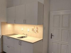 Pronájem bytu 1+kk, Praha - Žižkov, Žerotínova, 28 m2
