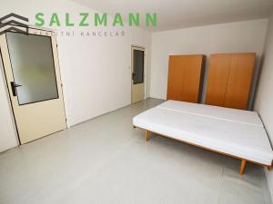 Prodej bytu 2+1, Plzeň, Elišky Krásnohorské, 65 m2