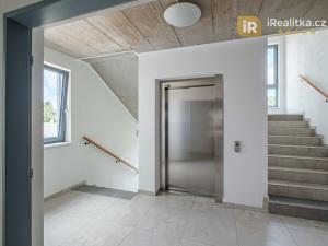 Pronájem bytu 2+kk, Hradec Králové, Přemyslova, 47 m2