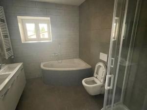 Prodej rodinného domu, Broumov - Velká Ves, Husova, 319 m2
