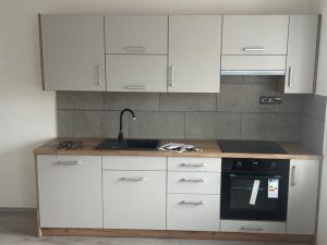Prodej rodinného domu, Broumov - Velká Ves, Husova, 319 m2
