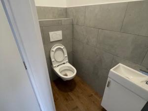 Prodej rodinného domu, Broumov - Velká Ves, Husova, 319 m2