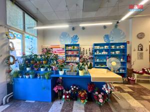 Pronájem obchodního prostoru, Bohumín - Nový Bohumín, tř. Dr. E. Beneše, 50 m2