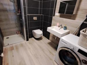 Pronájem bytu 1+kk, Olomouc, Loudova, 40 m2