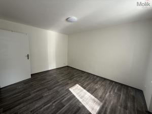 Pronájem bytu 1+1, Most, Lesní, 30 m2