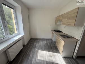 Pronájem bytu 1+1, Most, Lesní, 30 m2