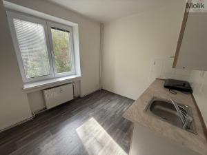 Pronájem bytu 1+1, Most, Lesní, 30 m2
