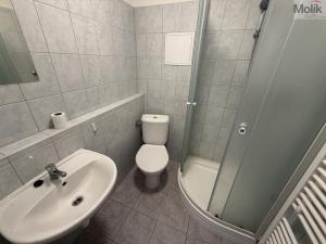 Pronájem bytu 1+1, Most, Lesní, 30 m2