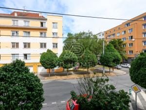 Pronájem bytu 1+1, Plzeň, Sladkovského, 47 m2