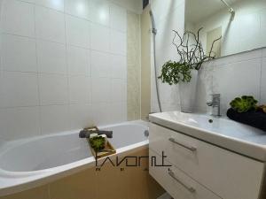Pronájem bytu 2+1, Ostrava, Krakovská, 50 m2