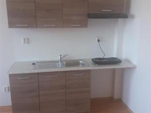 Pronájem bytu 3+kk, Ústí nad Labem - Krásné Březno, 1. máje, 56 m2